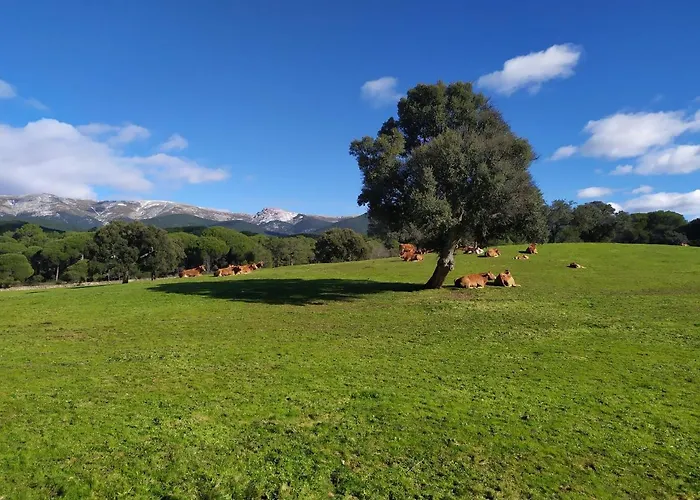 La Encina Del Abuelo