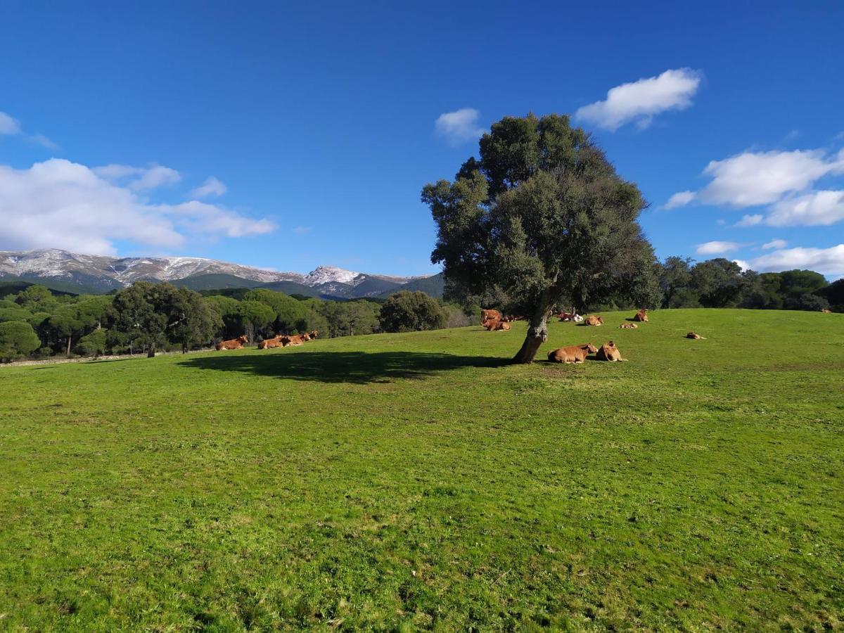 Dom wakacyjny La Encina Del Abuelo La Adrada