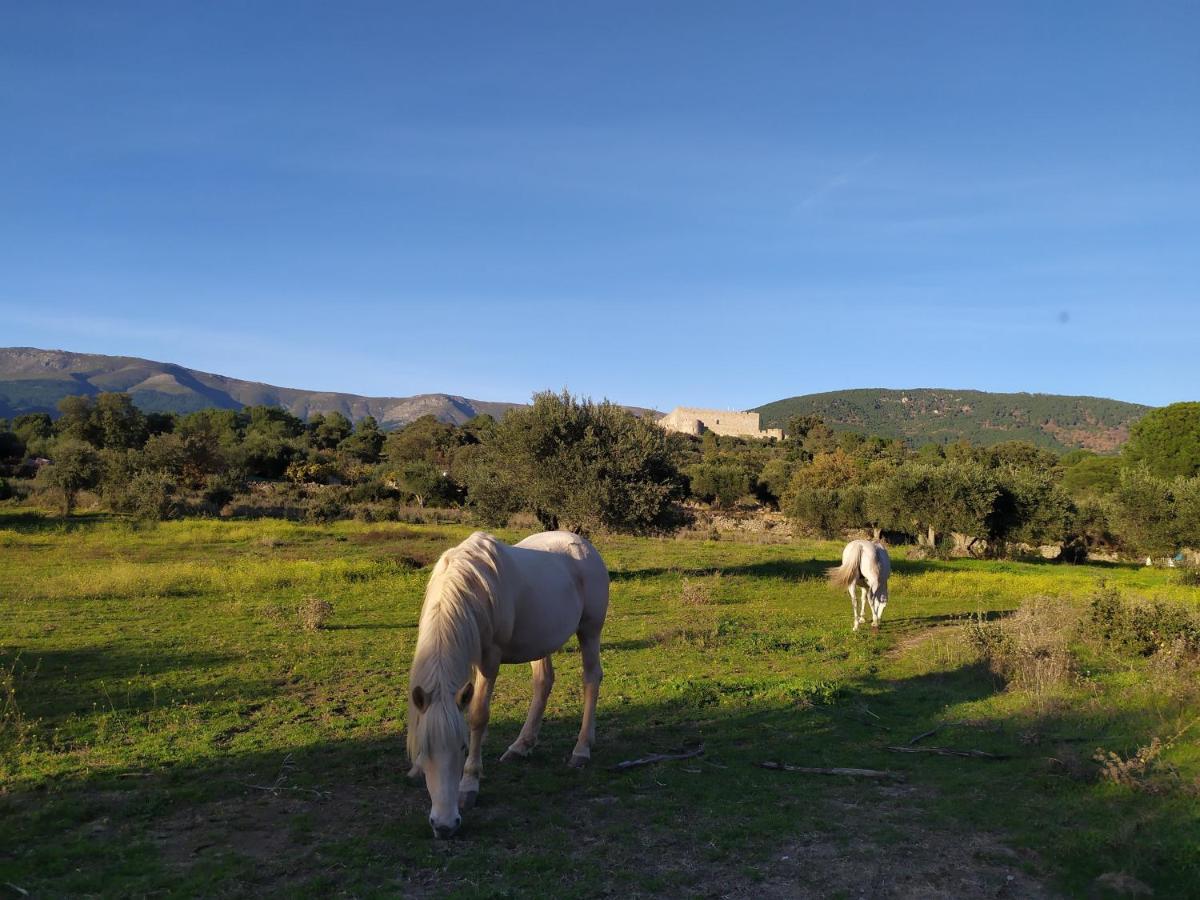 La Encina Del Abuelo Holiday home